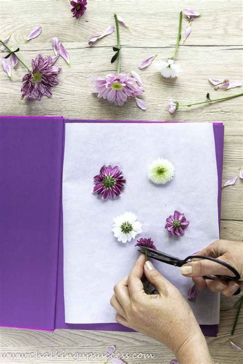 How To Press Flowers Easiest Way For Beginners Chalking Up Success