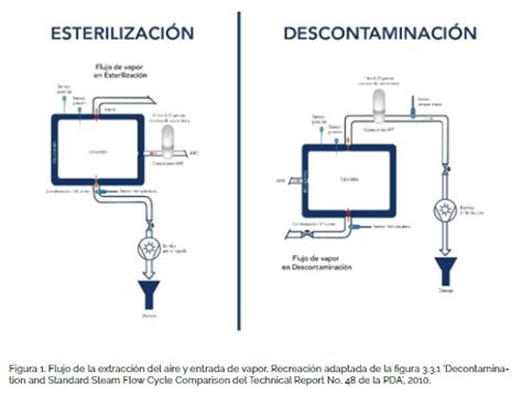 Procesos de descontaminación con vapor saturado Artículos Online