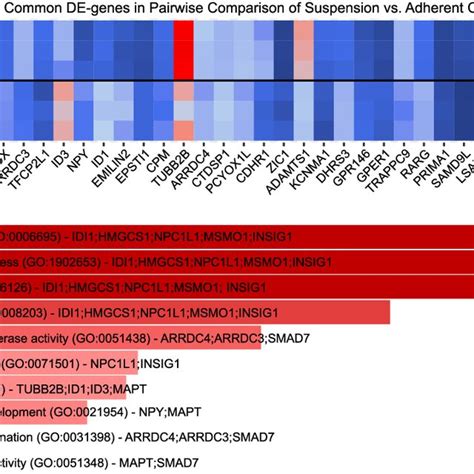 Evaluation Of Common De Genes Between Adherent And Suspension Hek293