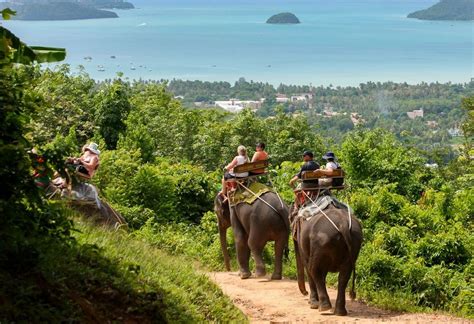 10 fun activities you should not miss in Phuket, Thailand | Phuket city ...