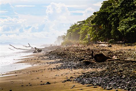 Desolate Shore Neil R Meninick Flickr