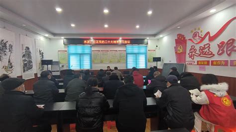 高岳街道水泥厂社区召开“党的二十大精神”专题学习会议杜集区人民政府