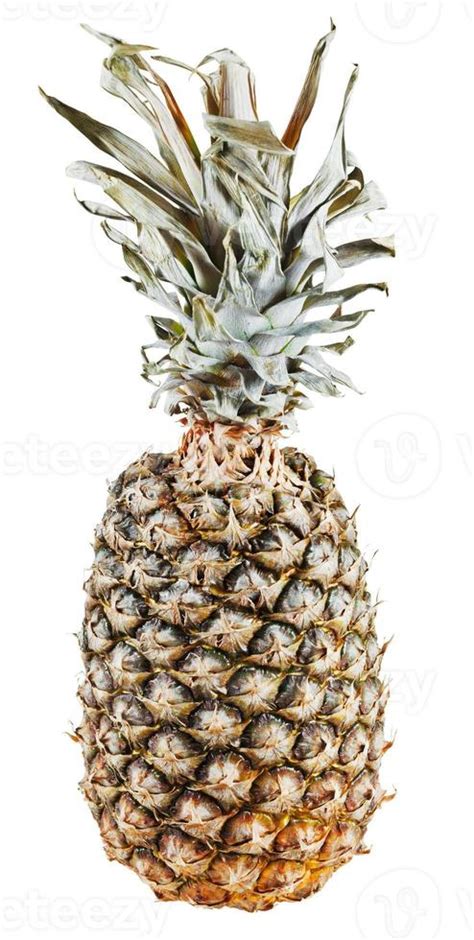 pineapple isolated on white background 12043151 Stock Photo at Vecteezy