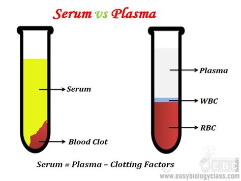 Difference between Plasma and Serum | EasyBiologyClass