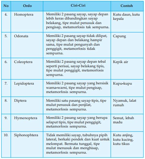 Ciri Ciri Dan Contoh Ordo Insekta Semua Ada