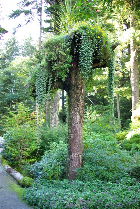 Pin by Moss Cottage on ~Secret Garden~ | Green roof garden, Front