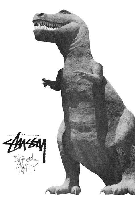 Stüssy Looks To Its Classic Ads For Fall 2017 Campaign Stussy