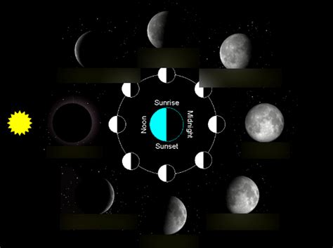 Moon Phases Diagram Diagram | Quizlet