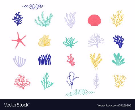 Sea Plants And Aquarium Seaweed Set Isolated Vector Image