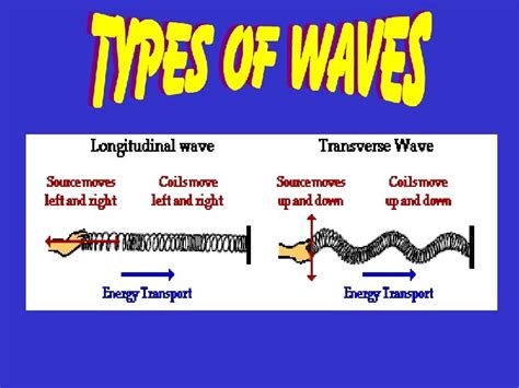 Characteristics Of Longitudinal And Transverse Waves Class 11 Edexcel Igcse Certificate In