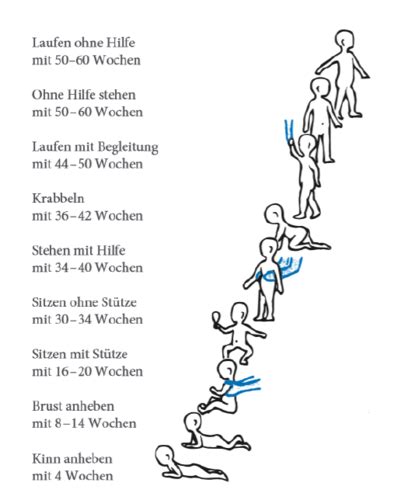 Einführung in Entwicklungspsychologie Karteikarten Quizlet