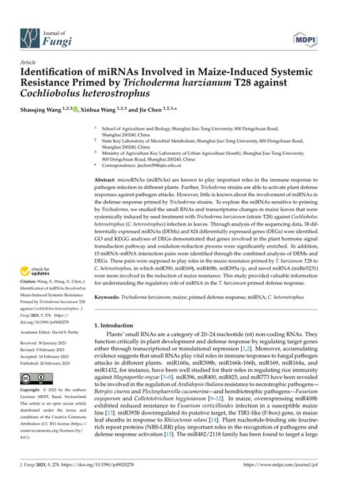 PDF Identification Of MiRNAs Involved In Maize Induced Systemic