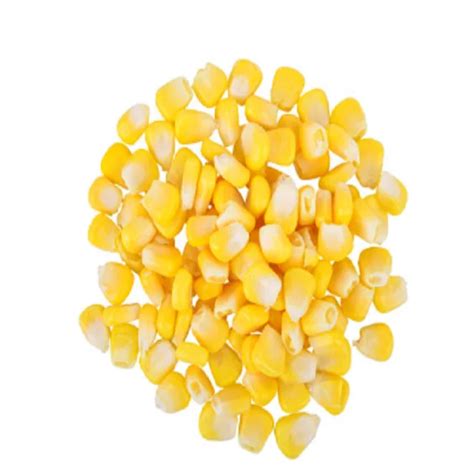 Wholesale Kg Kg Popcorn Pop Corn Maize Raw Popping Kernels Non