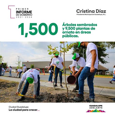 Municipio de Guadalupe on Twitter Más de 1 500 árboles plantados en