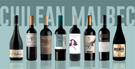 Argentina Malbec Wine Ratings