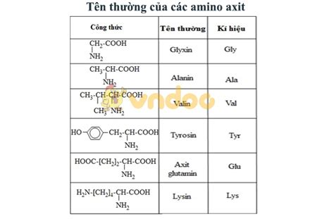 Amino axit là gì Đầy đủ kiến thức từ A Z để ôn thi THPT QG 2020