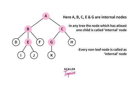 Binary Tree In C Types And Implementation Scaler Topics 0 Hot Sex Picture