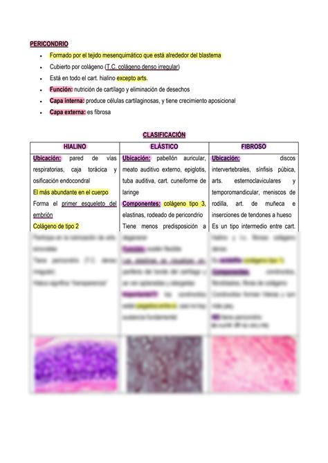 Solution Histolog A Tejido Conjuntivo Cartilaginoso Studypool