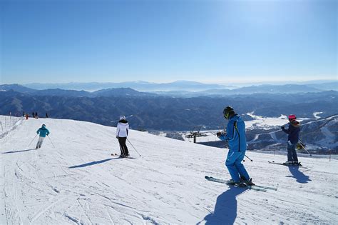 八方尾根 235cm 晴 ゲレンデレポートスノーナビ白馬八方栂池五竜等の観光案内はスノーナビ白馬で