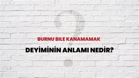 Burnu Bile Kanamamak Deyiminin Anlam Nedir Habert Rk