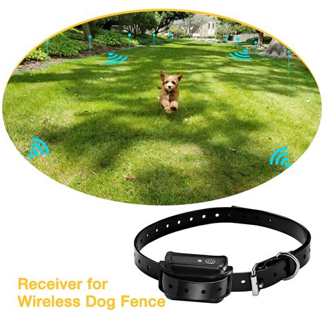 Wireless Dog Fence Receiver Collar - Walmart.com - Walmart.com