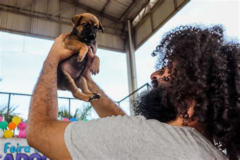 Prefeitura alerta donos de pets que violência e maus tratos aos animais