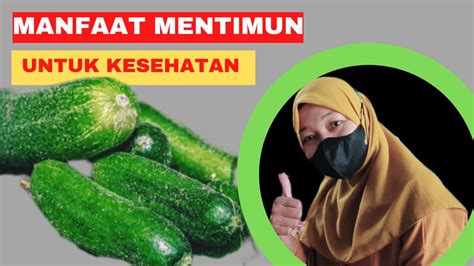 Tips Sehat Manfaat Mentimun Untuk Kesehatan YouTube