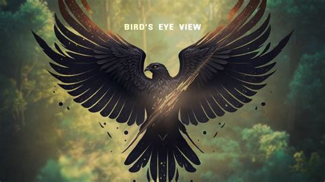 Matthew Parker Jacob Stanifer Bird S Eye View Official Lyric Video