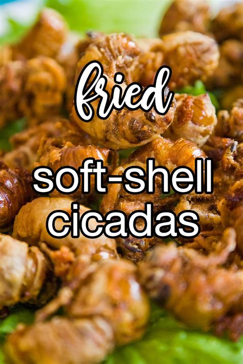 Fried Soft-Shelled Cicadas Recipe | CDKitchen.com