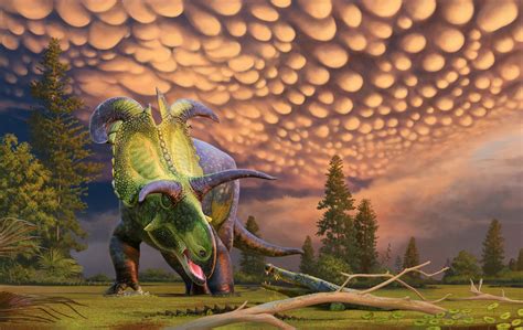 New Horned Dinosaur Species Discovered Largest And Most Ornate Of Its