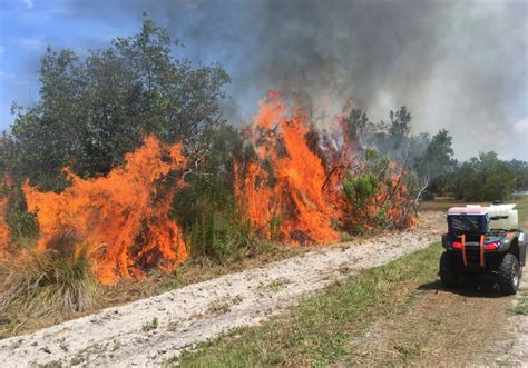 Prescribed Fire Sanibel Captiva Conservation Foundation