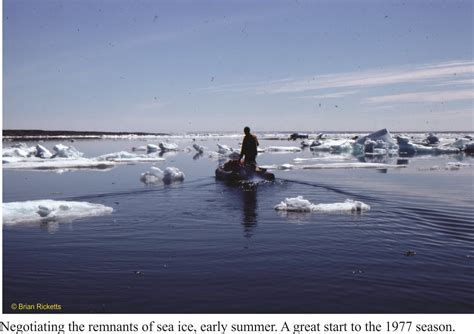 Field Season Belcher Islands Hudson Bay Proterozoic