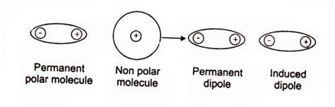 Dipole-Induced Dipole Intermolecular Forces | Chemistry Skills