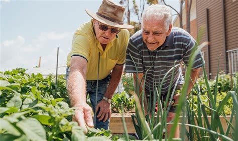 Risk of cancer and chronic disease could be reduced by gardening, new ...