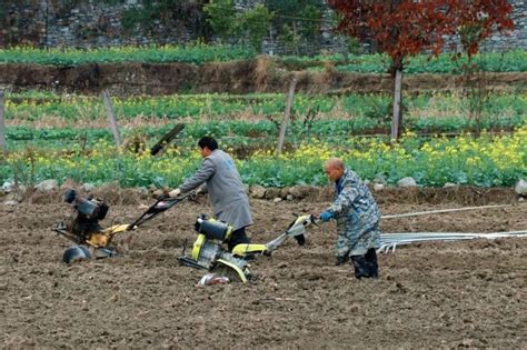 人勤春来早丨大龙开发区春耕备耕正当时腾讯新闻