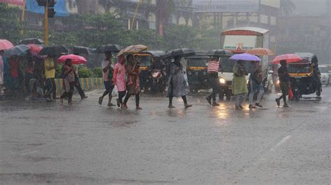 Kerala Rains Holiday For Schools In Few Districts Due To Heavy Rains