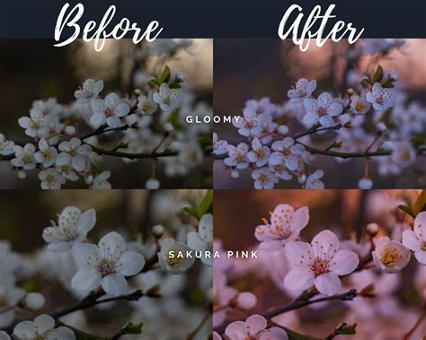 Magical Cherry Blossom Sakura Lightroom Mobile Desktop Presets