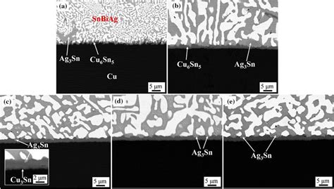 Microstructures Of Snbiagcu Joint Interfaces Aged For A 0 B 7 C 14 Download Scientific