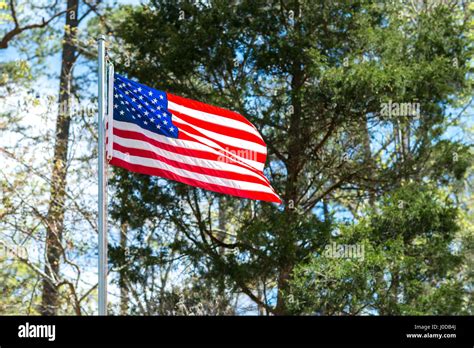 American Flag Blowing In Wind On A Spring Day In The Woods Stock Photo