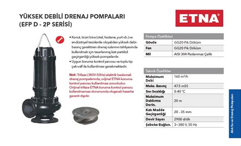 ETNA Etna EFP 30D 2P 4Hp 380V Pik Döküm Gövdeli Yüksek Debili