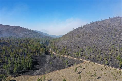 Ministerio De Medio Ambiente Informa Que Todos Los Incendios Forestales