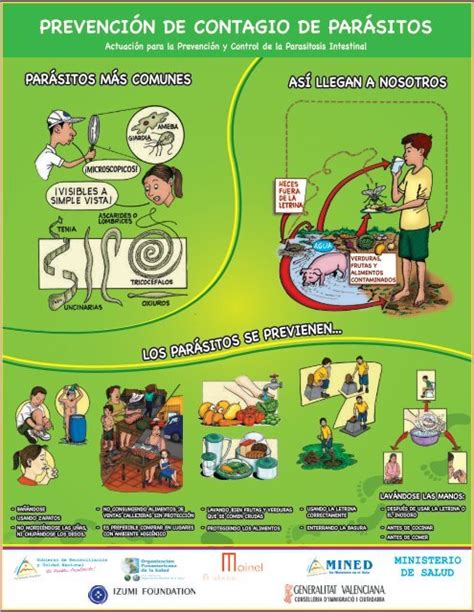 Afiche Prevencion De Parasitosis