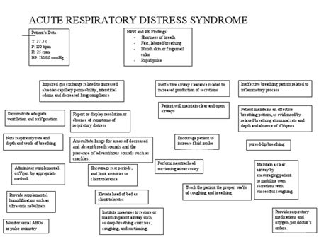 Ards Concept Map Pdf Breathing Respiratory System