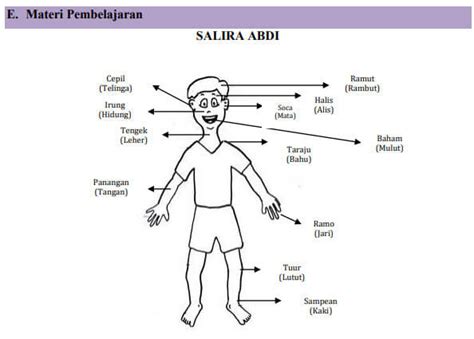 Bahasa Sunda Anggota Tubuh Dan Kegunaannya