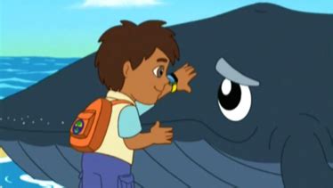 Go Diego Go Humpback Whale Rescue