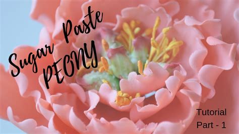 Part 1 Gum Paste Peony Tutorial Youtube