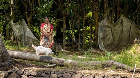 Indian Woman Hand Washing Clothes Outside In Bucket Editorial Image