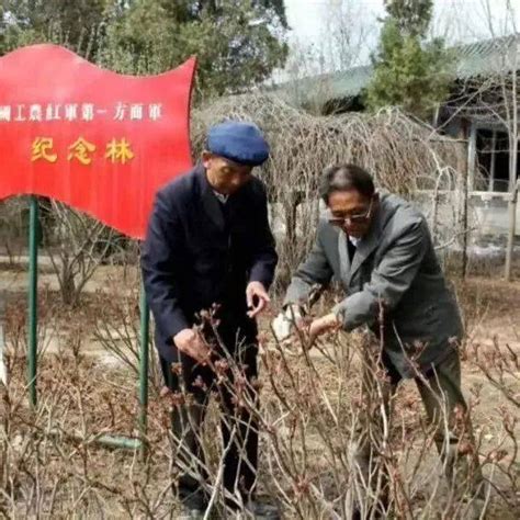 事业的“老黄牛” 慈善的耕耘者会宁县王文汉价值