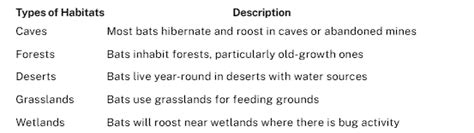 Understanding Bats: Common Species And Their Habitats : r ...