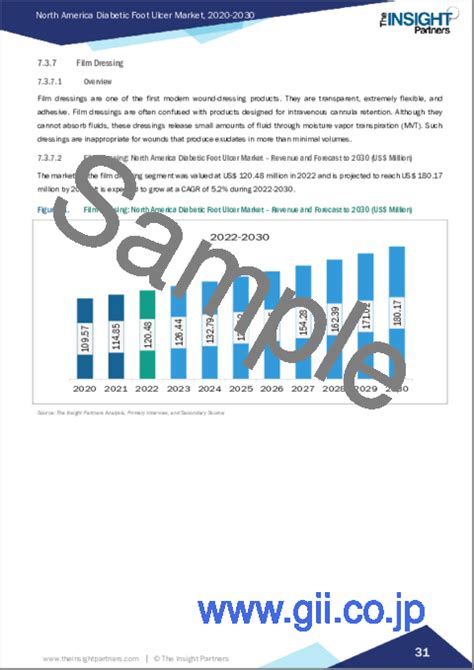 市場調査レポート 北米の糖尿病性足潰瘍：2030年市場予測 地域別分析：潰瘍タイプ、治療タイプ、感染重症度、エンドユーザー別